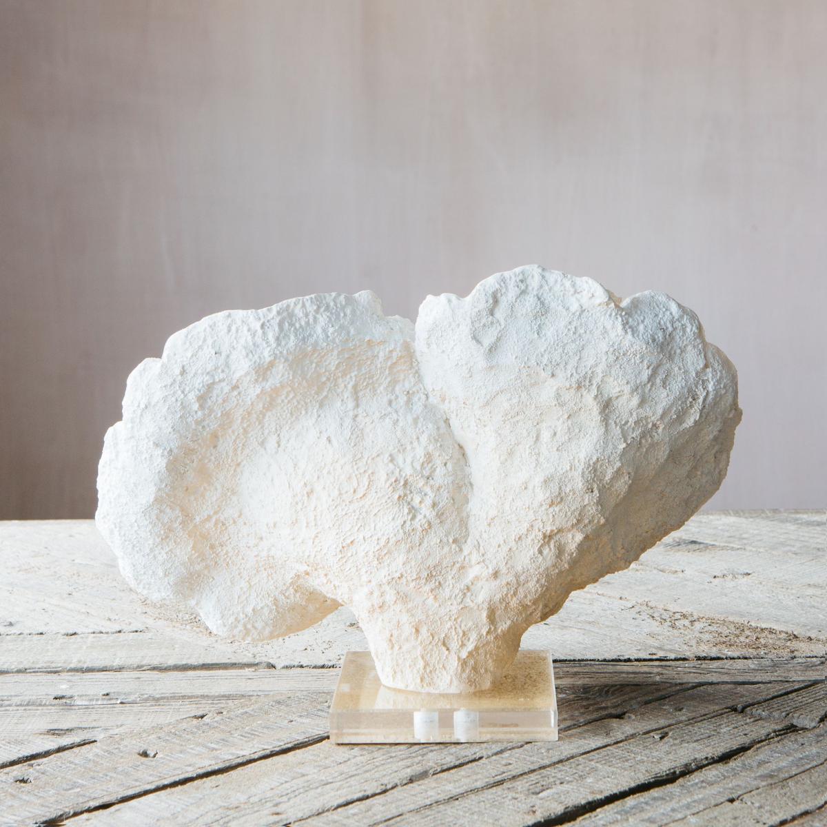 White Faux Coral on Stand – image 2