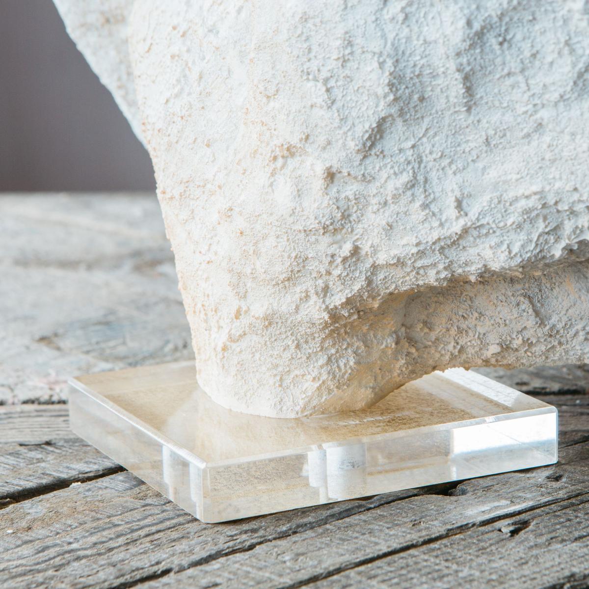 White Faux Coral on Stand – image 4
