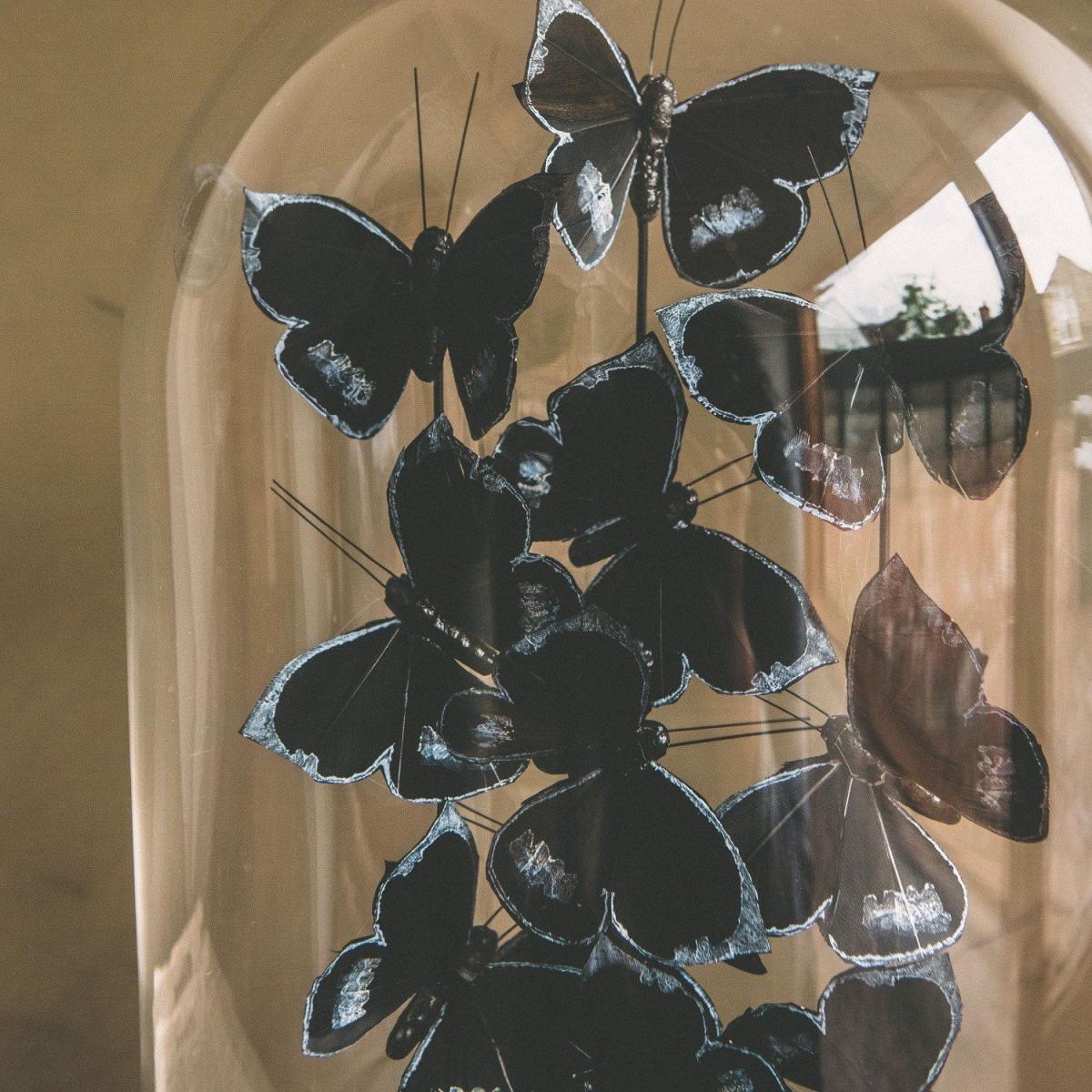 Faux Butterflies in Bell Jar – image 3