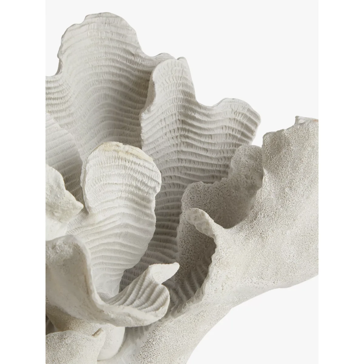 John Lewis & Partners Coral Sculpture, H26cm, White – image 5