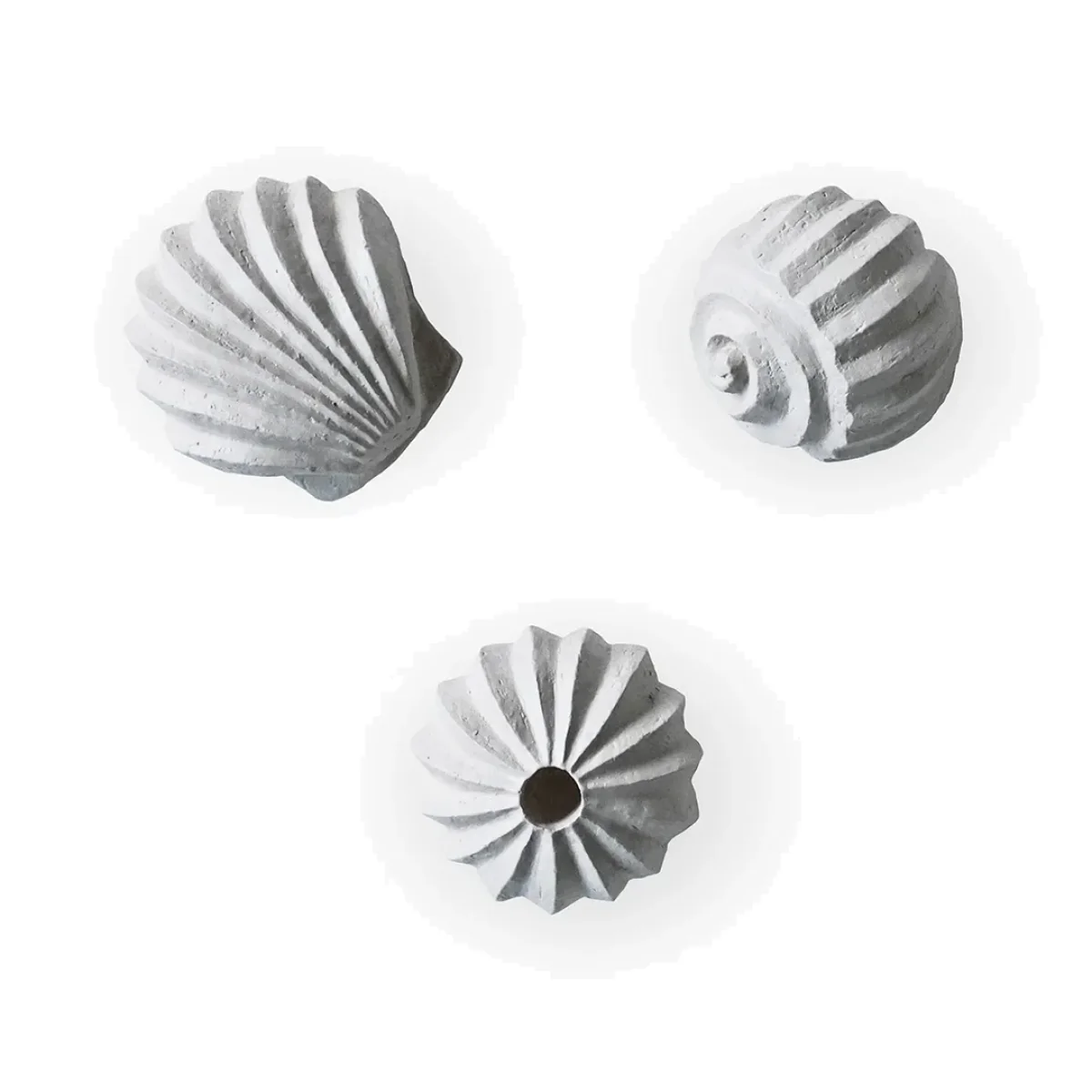 The Genesis Shells sculpture 3-pack Limestone