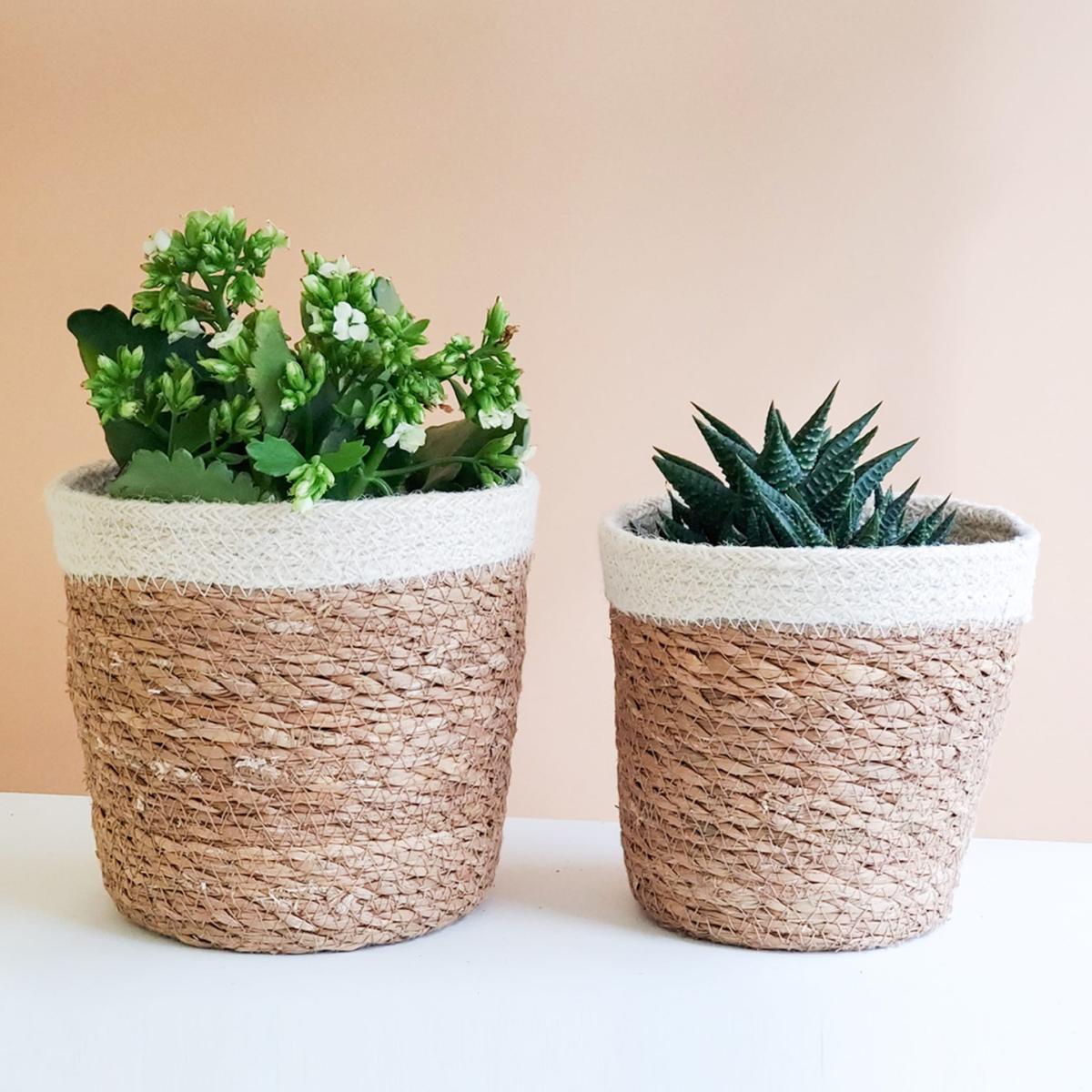 Neutrals Savar Plant Basket - Set Of 2 Korissa – image 2