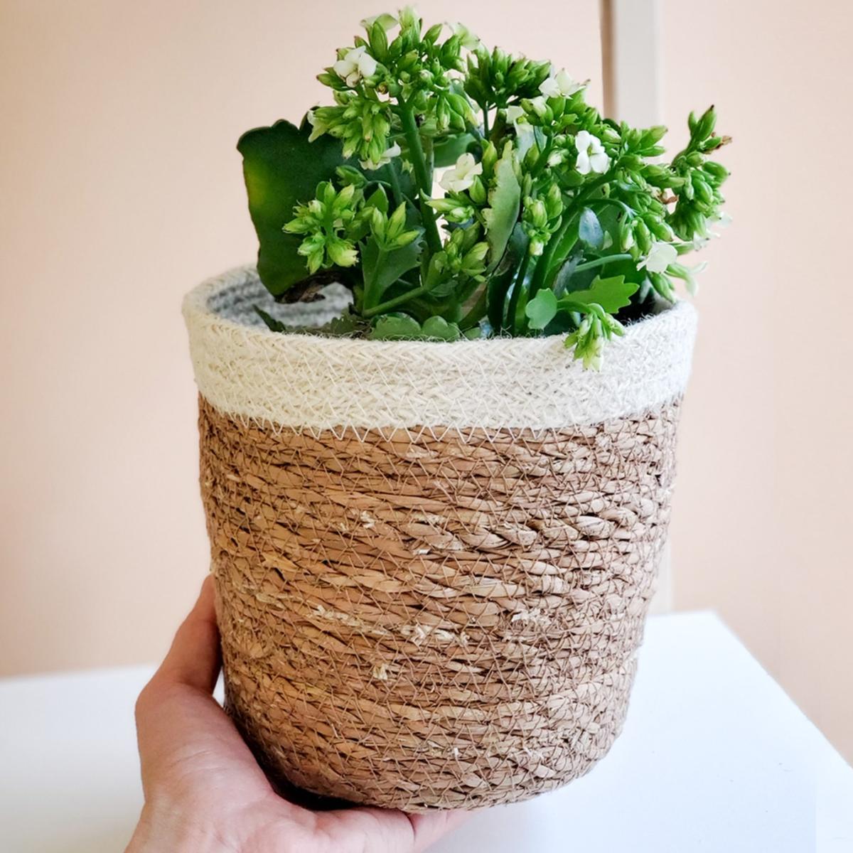 Neutrals Savar Plant Basket - Set Of 2 Korissa – image 3