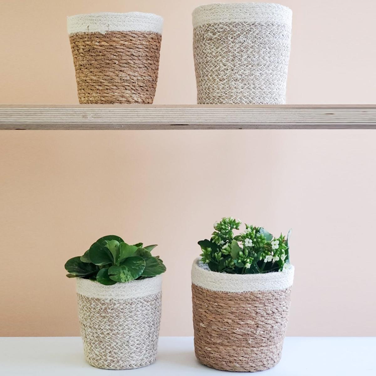 Neutrals Savar Plant Basket - Set Of 2 Korissa – image 4