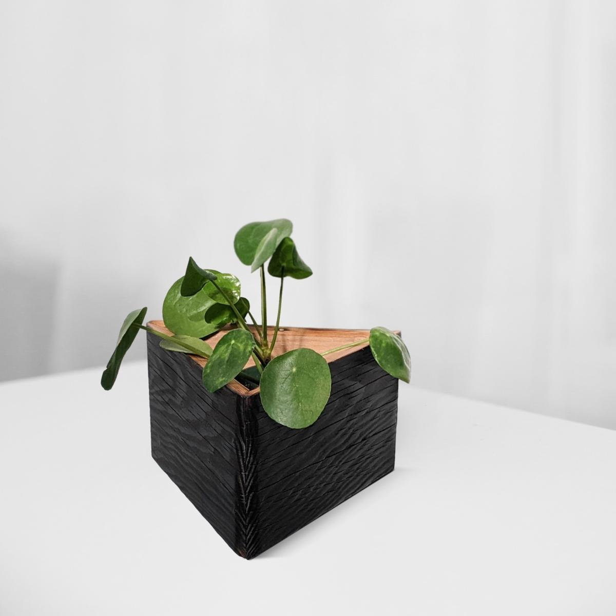 Triangle Self-Watering, Wall-Mounted Planter - Brown One Size Formr – image 2
