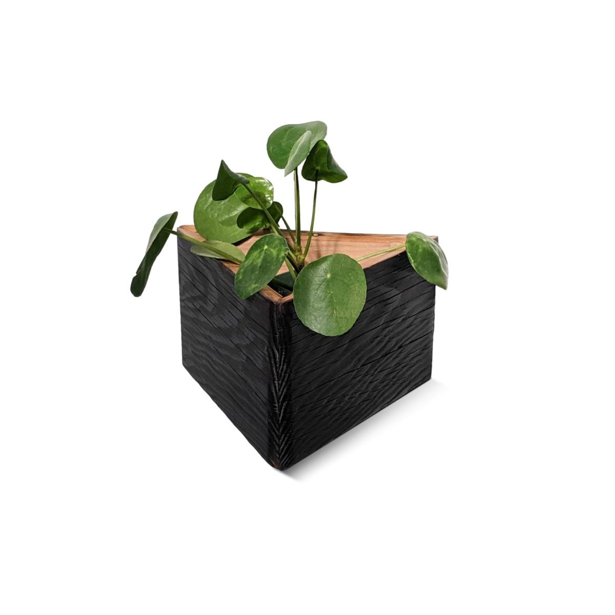 Triangle Self-Watering, Wall-Mounted Planter - Brown One Size Formr – image 3