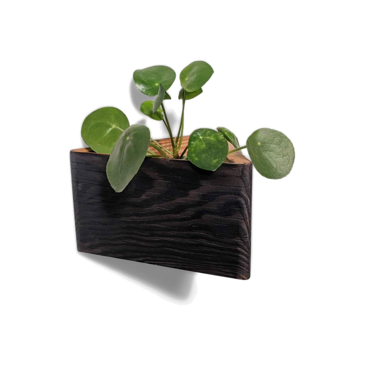 Triangle Self-Watering, Wall-Mounted Planter - Brown One Size Formr – image 1