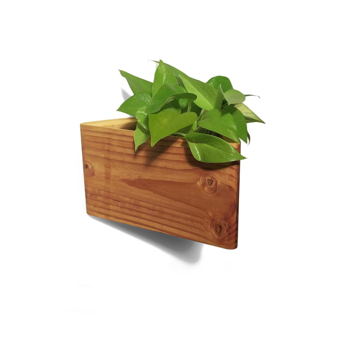 Neutrals Triangle Self-Watering, Wall-Mounted Planter - Natural One Size Formr – image 3