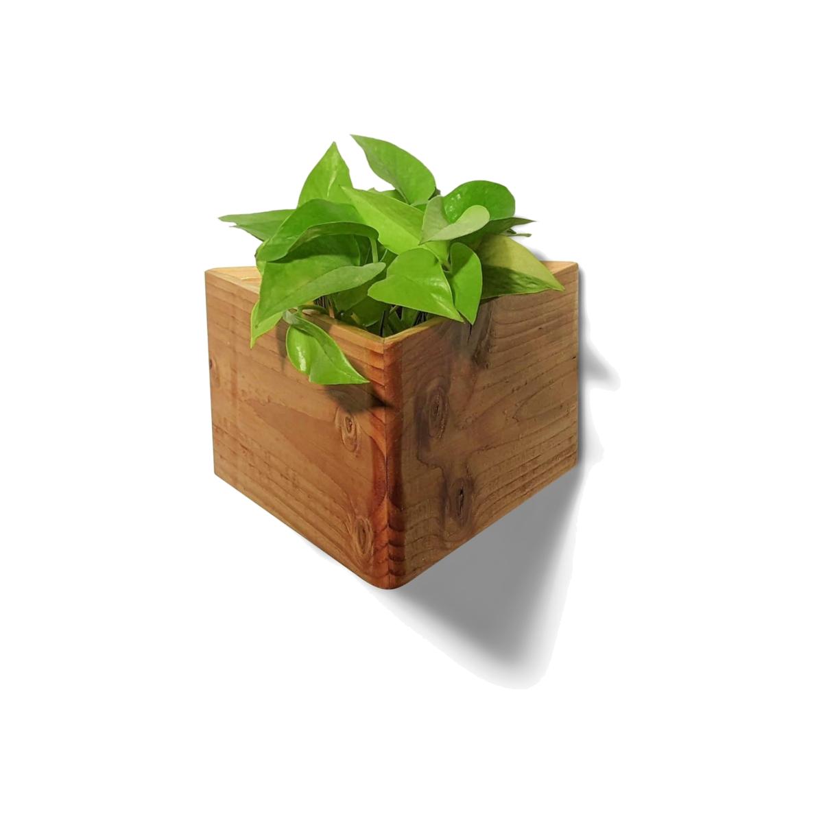 Neutrals Triangle Self-Watering, Wall-Mounted Planter - Natural One Size Formr – image 1