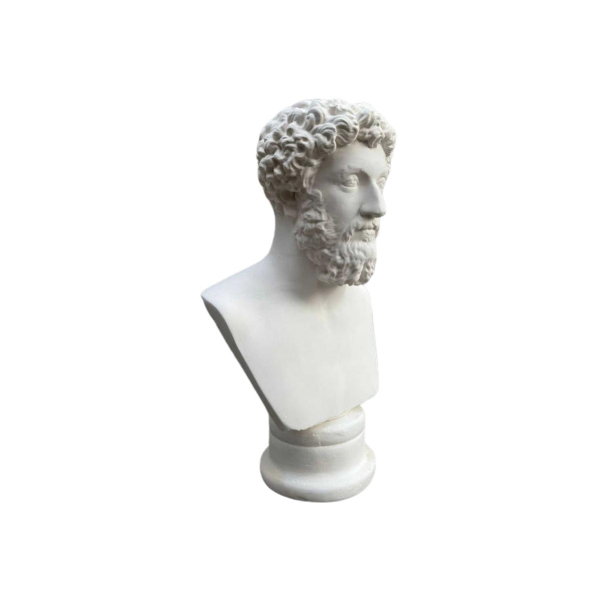 White Imperial Strength The Marcus Aurelius Bust | Artchi – image 1