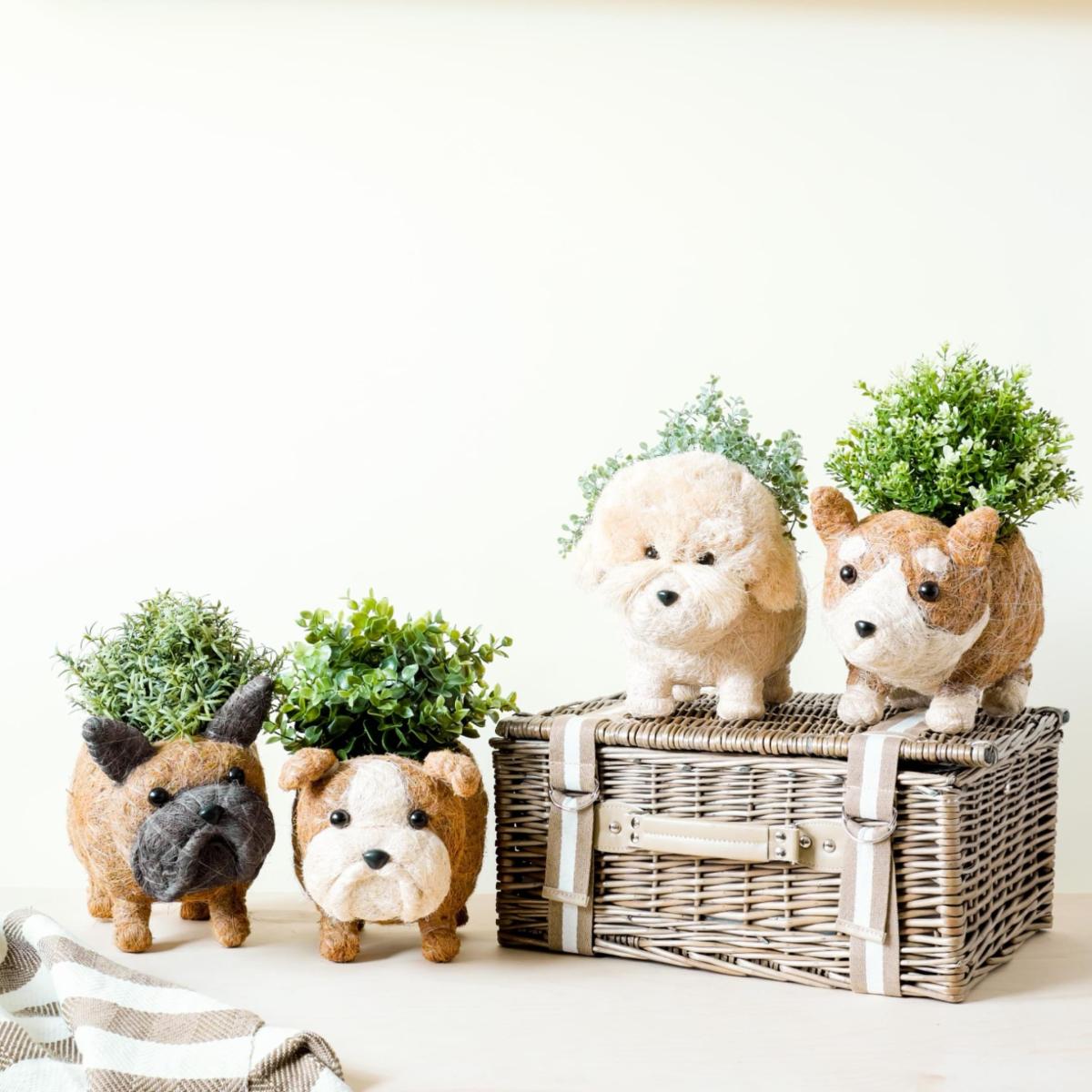 Brown Coco Coir Animal Planter - Corgi Version Two One Size Likhâ – image 5