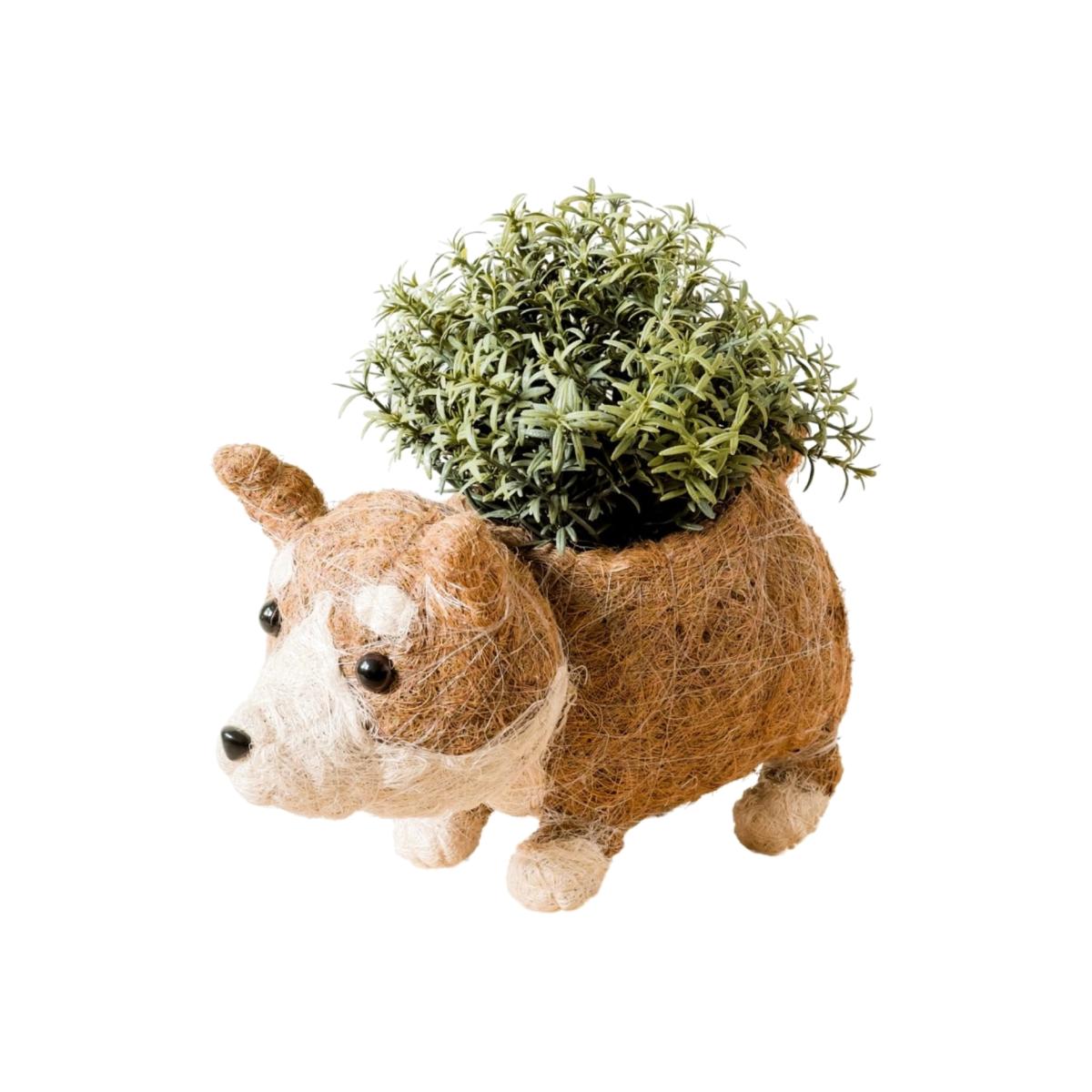 Brown Coco Coir Animal Planter - Corgi Version Two One Size Likhâ – image 1