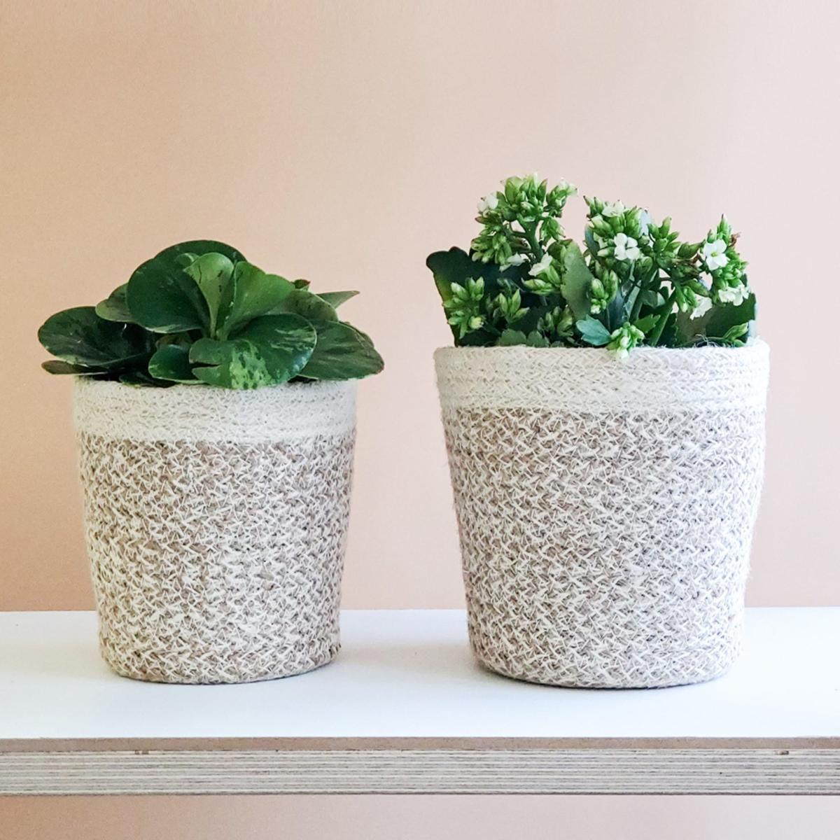 Neutrals Agora Plant Basket In White - Set Of 2 Korissa – image 2