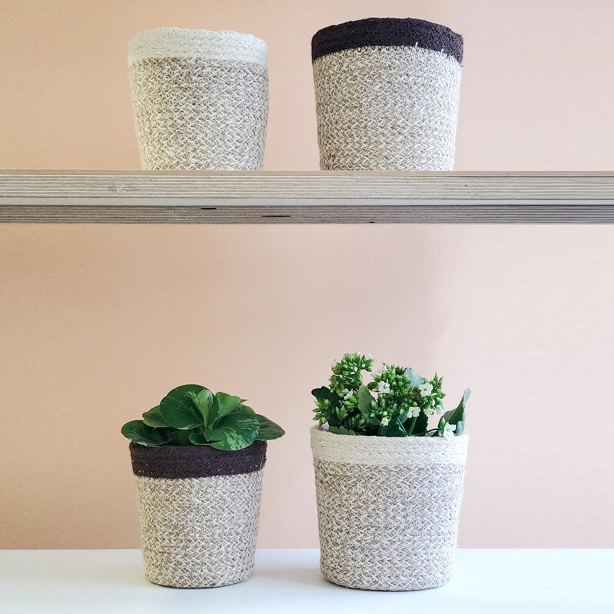 Neutrals Agora Plant Basket In White - Set Of 2 Korissa – image 3