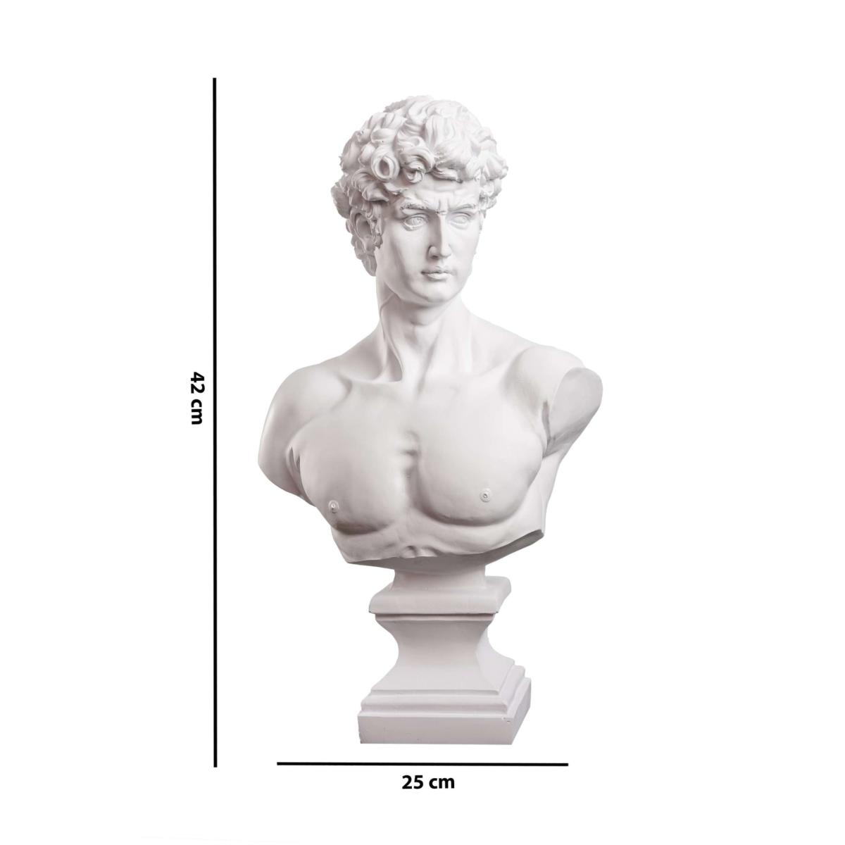 White Michelangelo's David Bust One Size Artchi – image 8