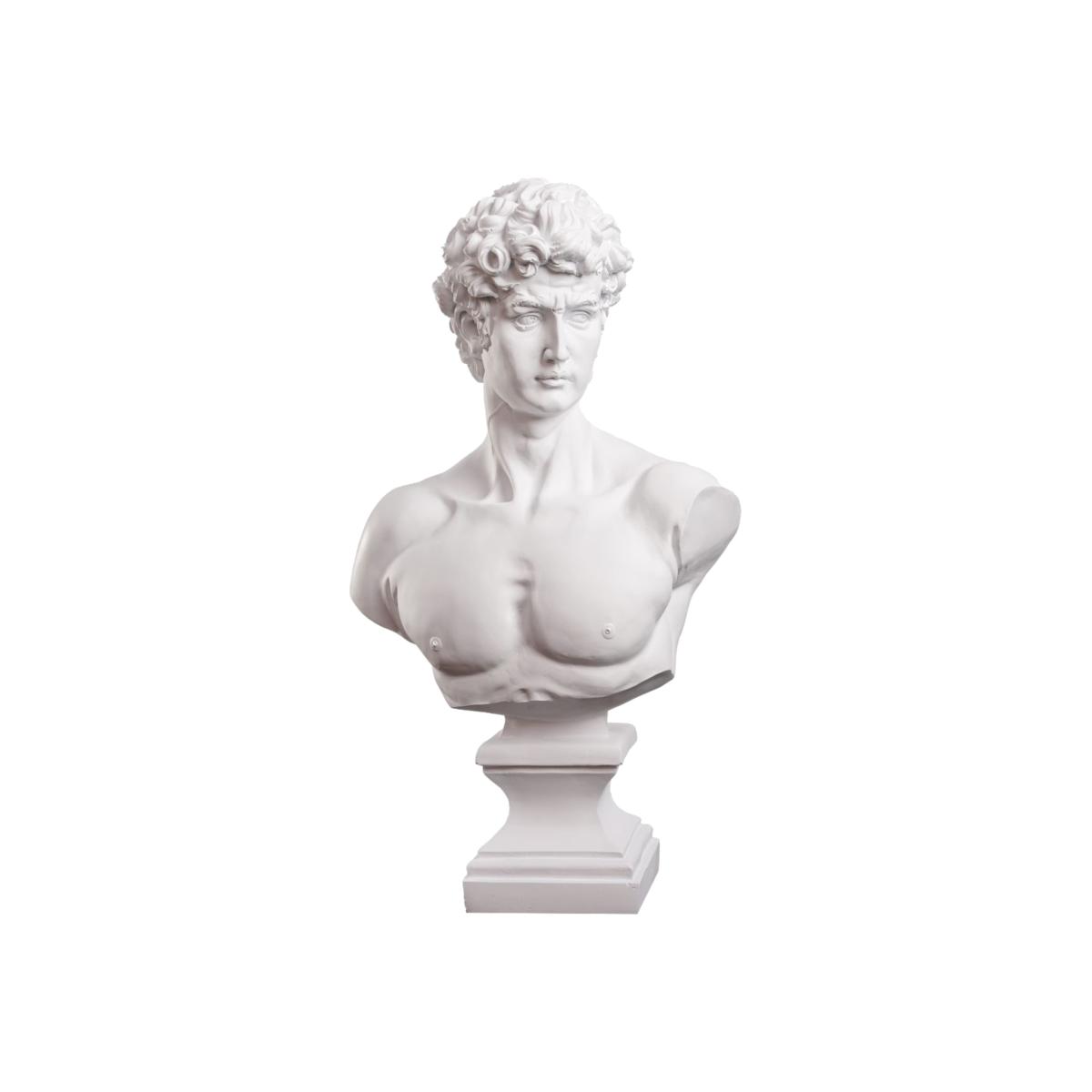 White Michelangelo's David Bust One Size Artchi – image 1