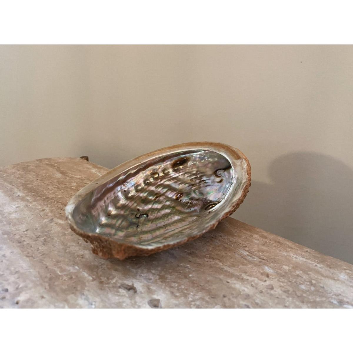 Silver Abalone Shell One Size Lemuria Store – image 2