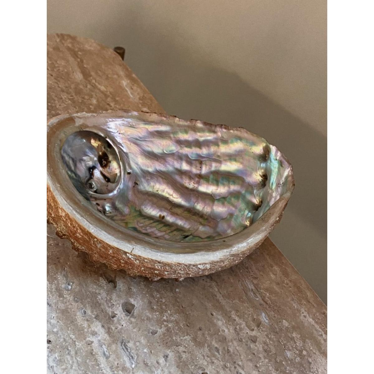 Silver Abalone Shell One Size Lemuria Store – image 3