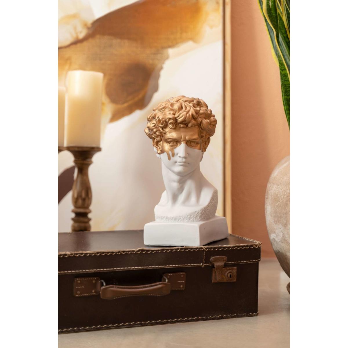 David The Golden Boy One Size Artchi – image 2