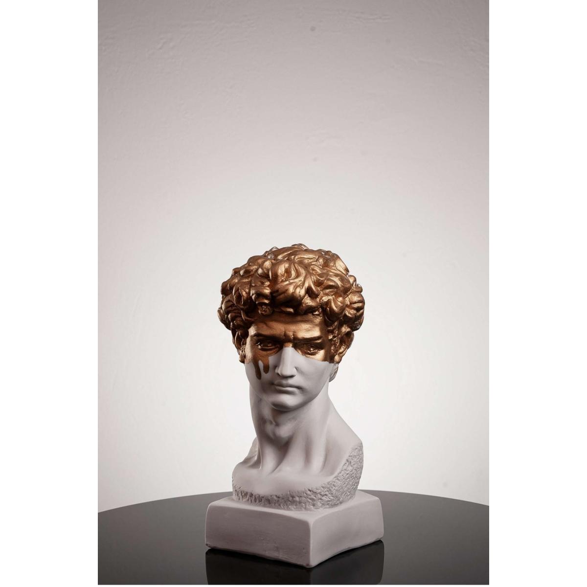 David The Golden Boy One Size Artchi – image 3