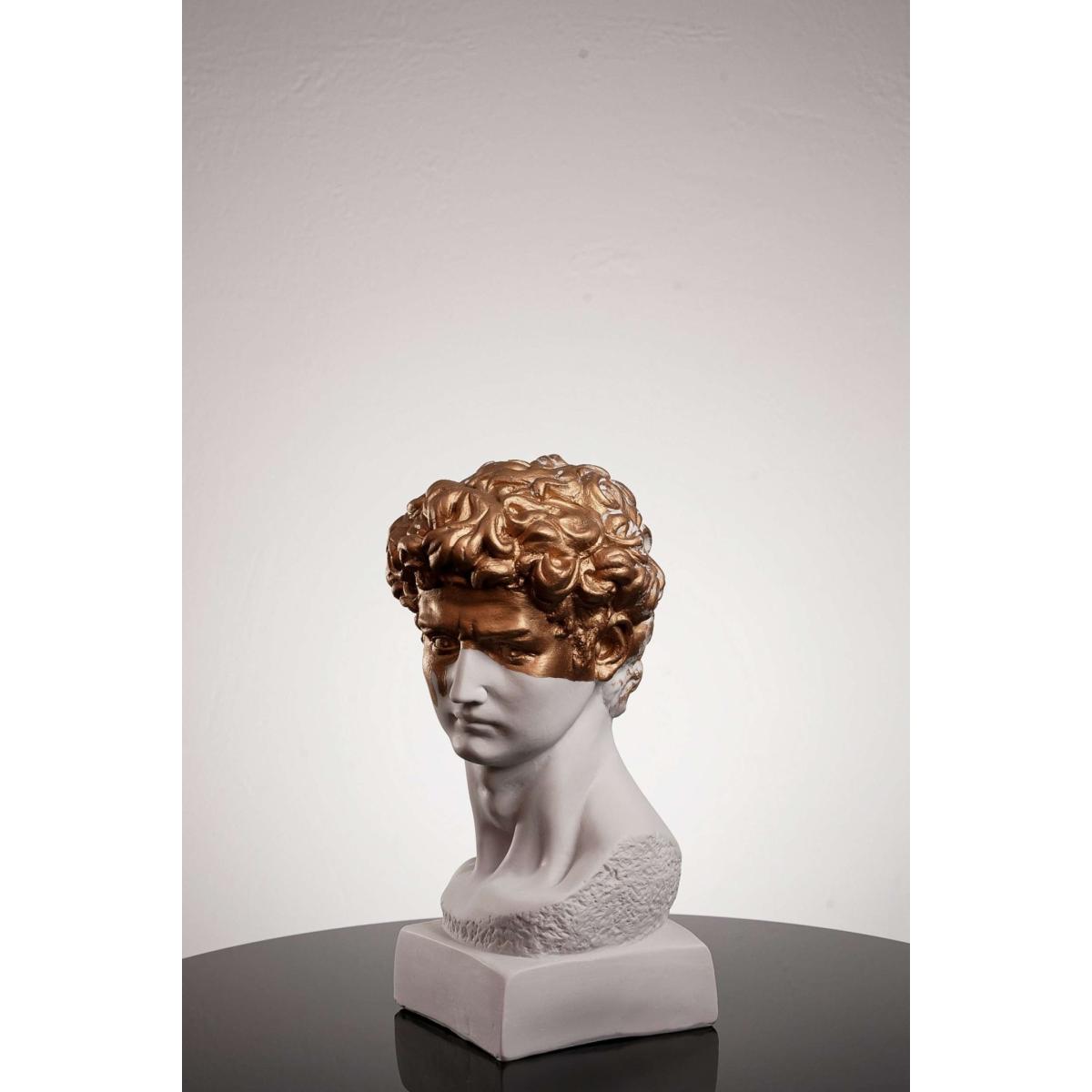 David The Golden Boy One Size Artchi – image 4
