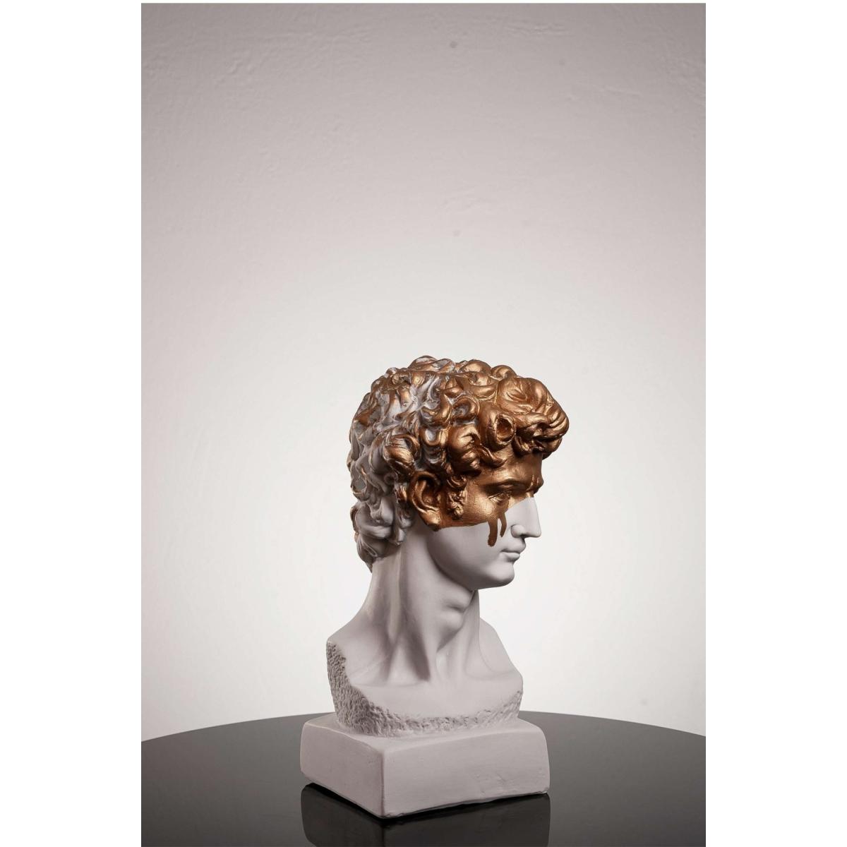 David The Golden Boy One Size Artchi – image 5