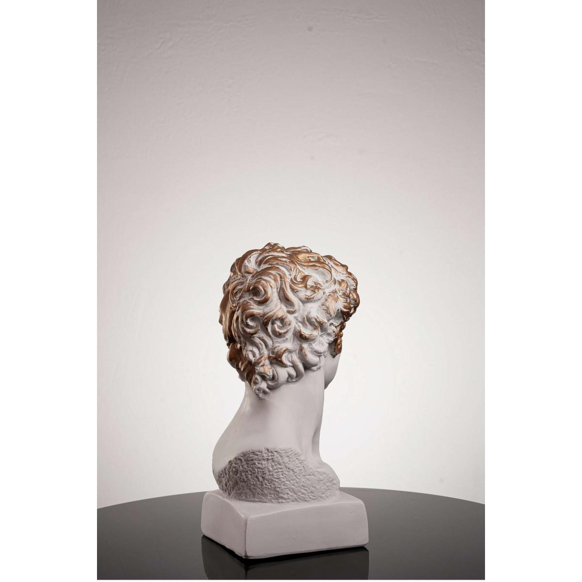 David The Golden Boy One Size Artchi – image 6