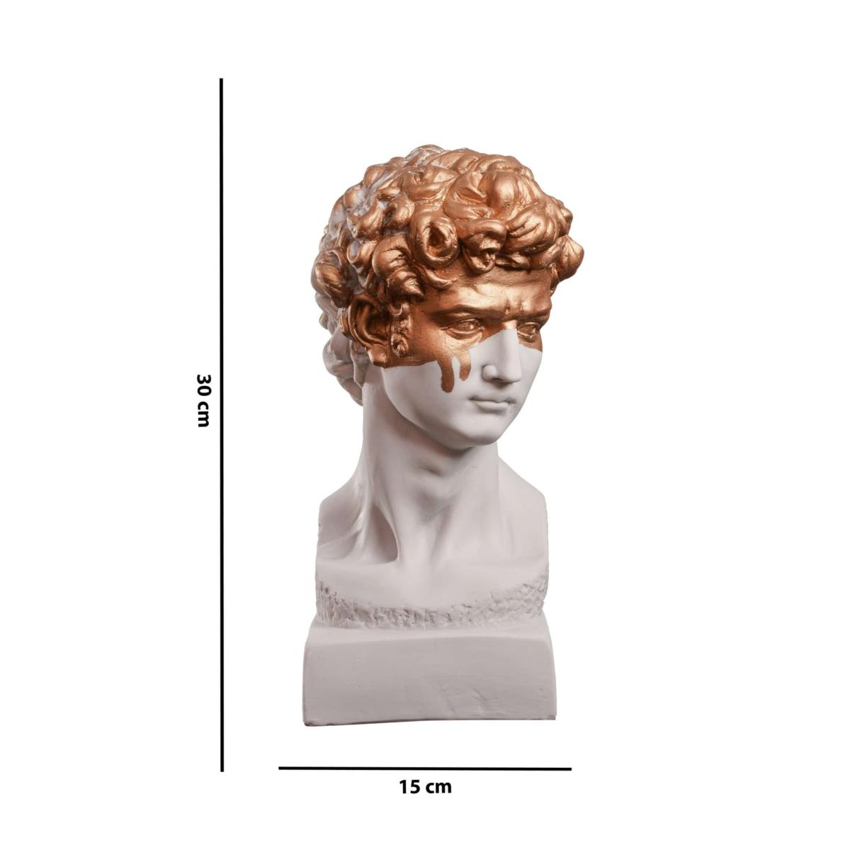 David The Golden Boy One Size Artchi – image 8