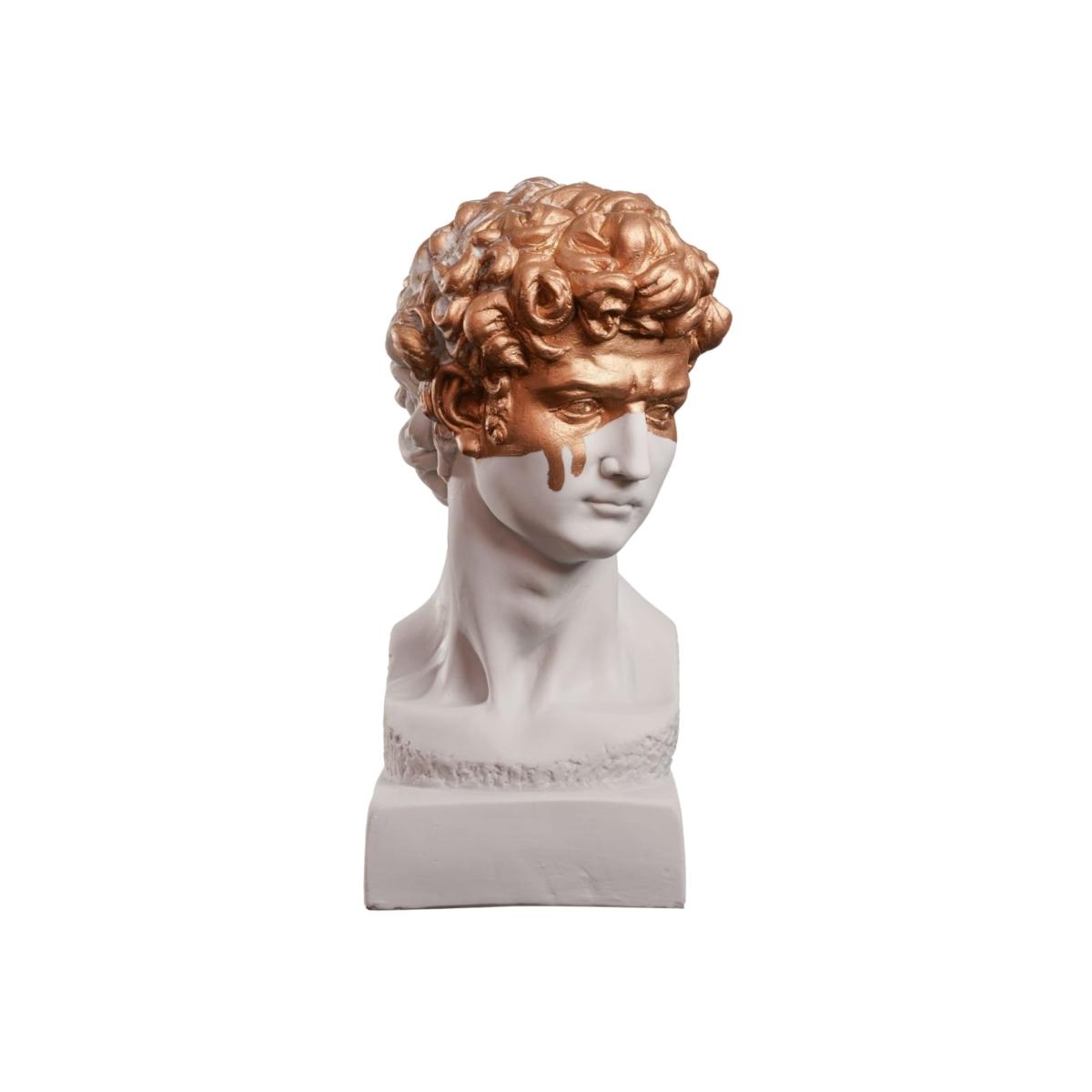 David The Golden Boy One Size Artchi – image 1