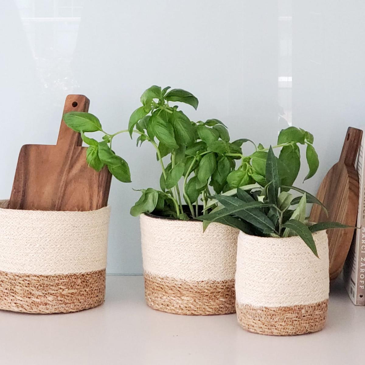 Neutrals Savar Bin - Set Of 3 Korissa – image 2