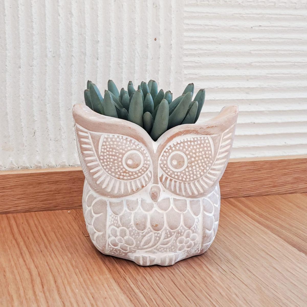 Neutrals Terracotta Pot - Big Eye Owl Korissa – image 2