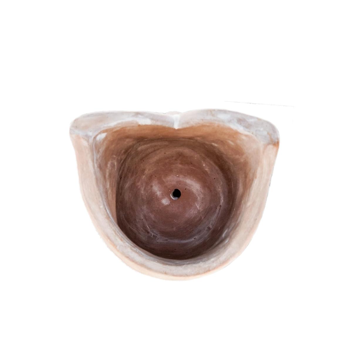Neutrals Terracotta Pot - Big Eye Owl Korissa – image 4