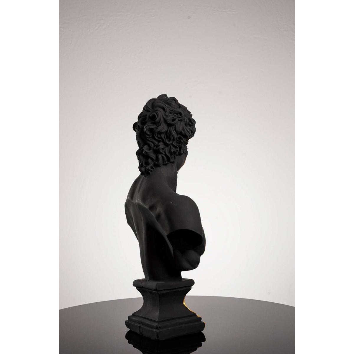Black Golden Beauty David One Size Artchi – image 5
