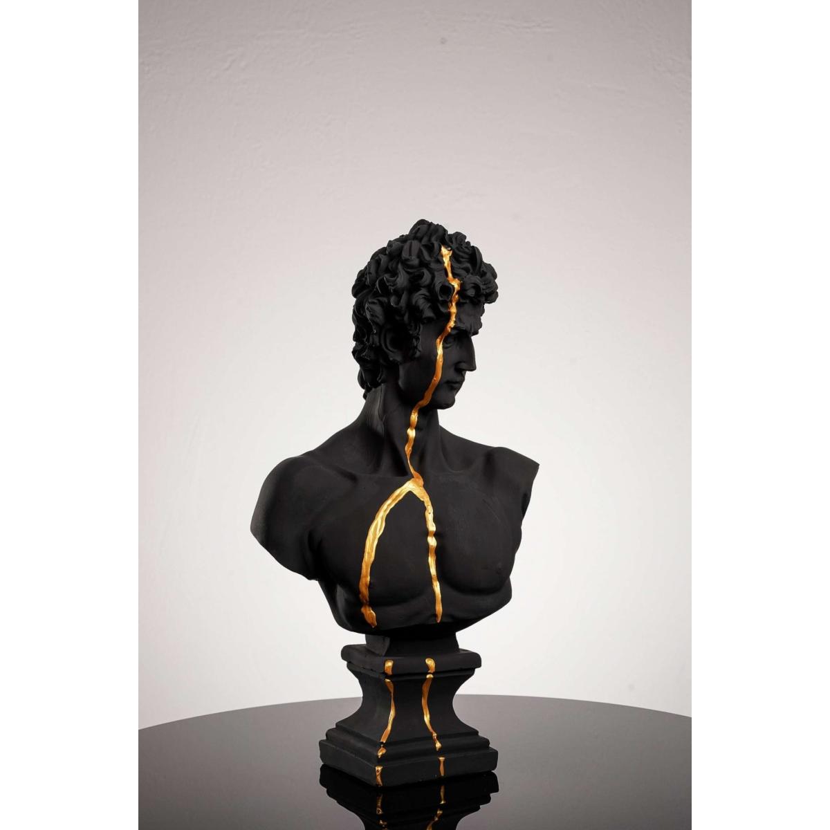 Black Golden Beauty David One Size Artchi – image 6
