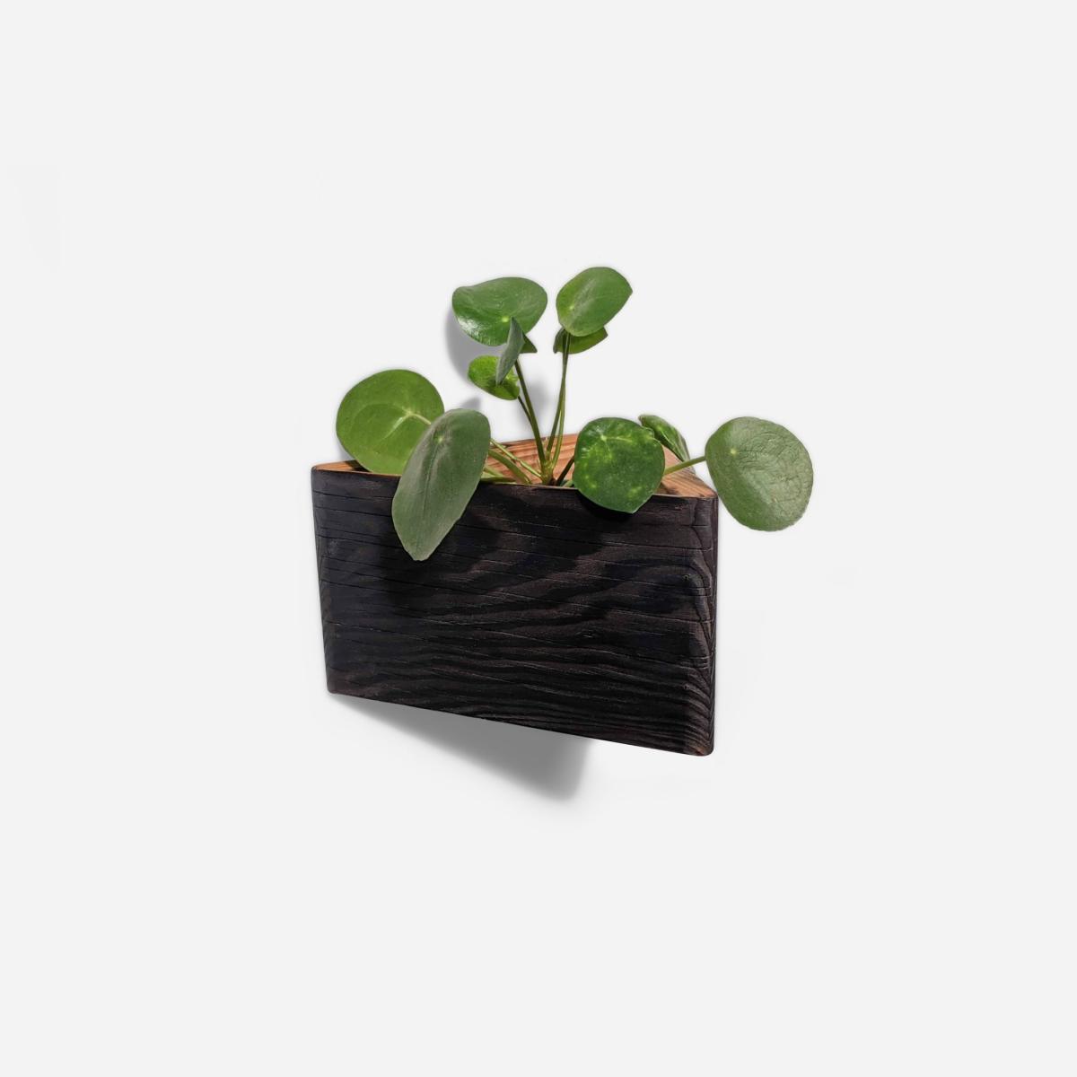 Neutrals / Black Triangle Self-Watering, Wall-Mounted Planter Formr – image 2