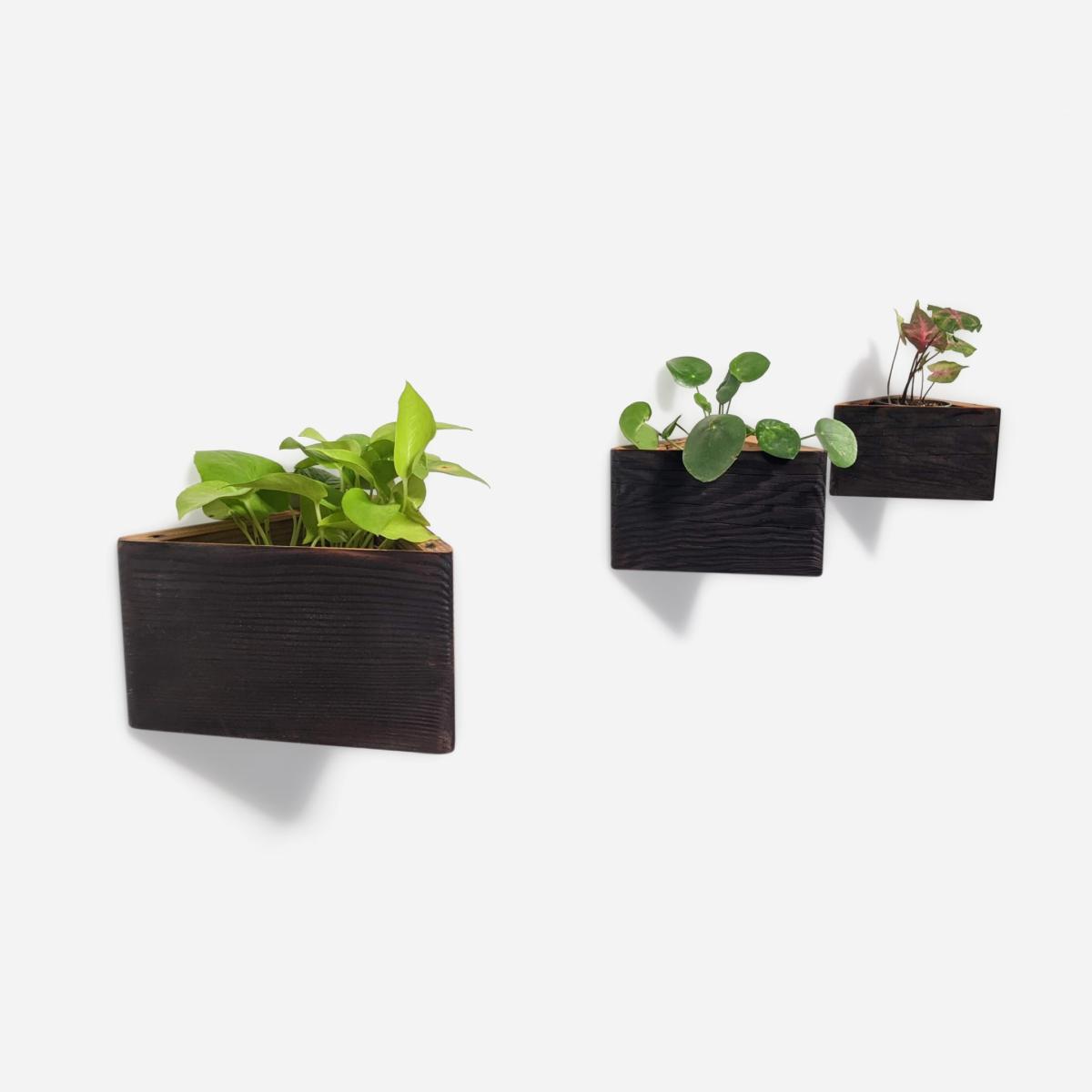 Neutrals / Black Triangle Self-Watering, Wall-Mounted Planter Formr – image 14