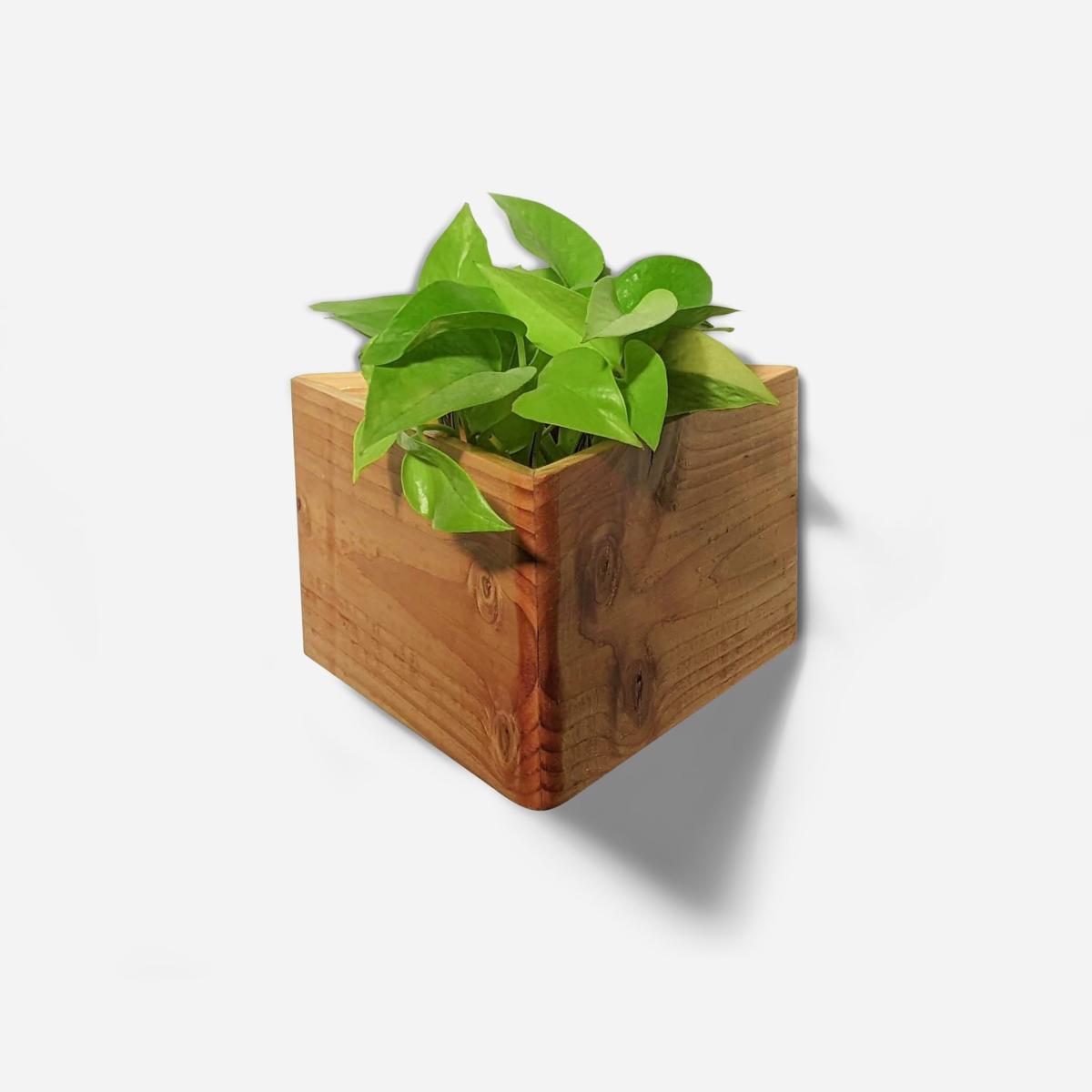 Neutrals / Black Triangle Self-Watering, Wall-Mounted Planter Formr – image 3