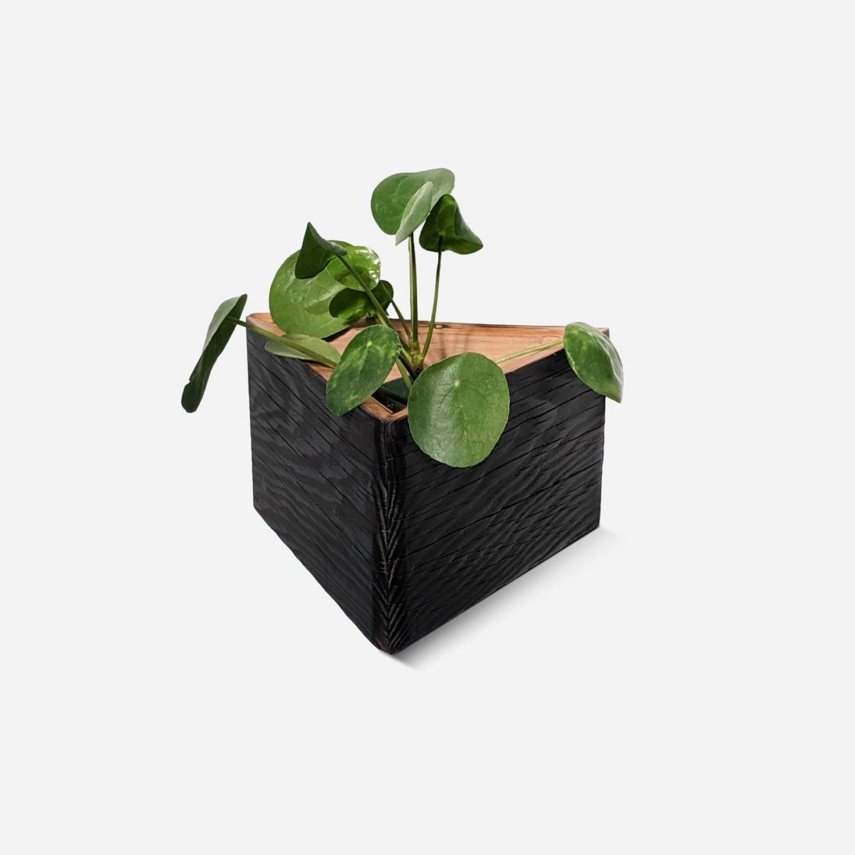 Neutrals / Black Triangle Self-Watering, Wall-Mounted Planter Formr – image 9