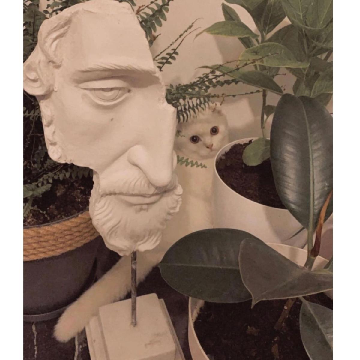 Fragmented Wisdom Sculpture Colour White | Artchi – image 2