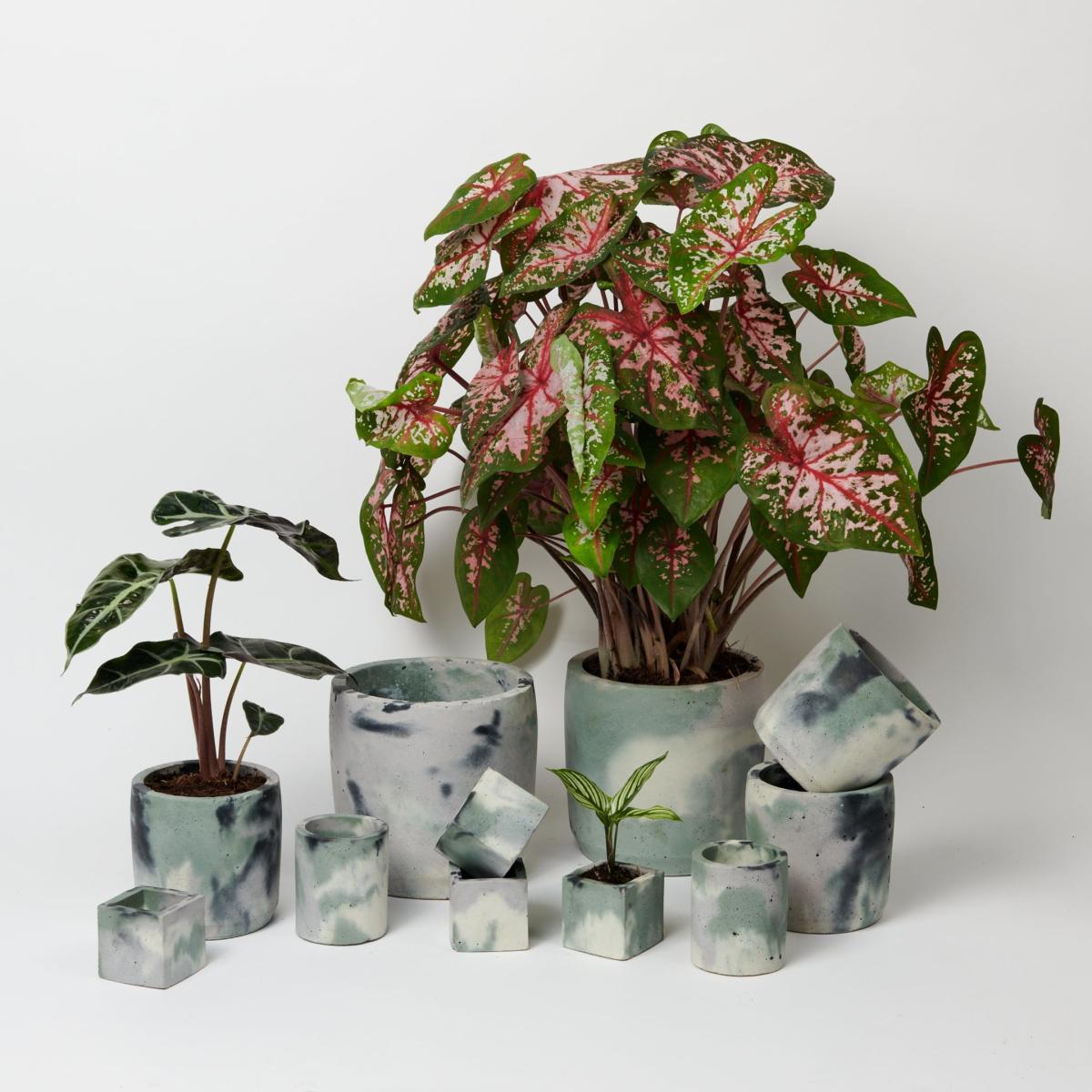 Green / Grey / Pink Cylinder Concrete Pot - Large - Green & Lilac Smith & Goat – image 3