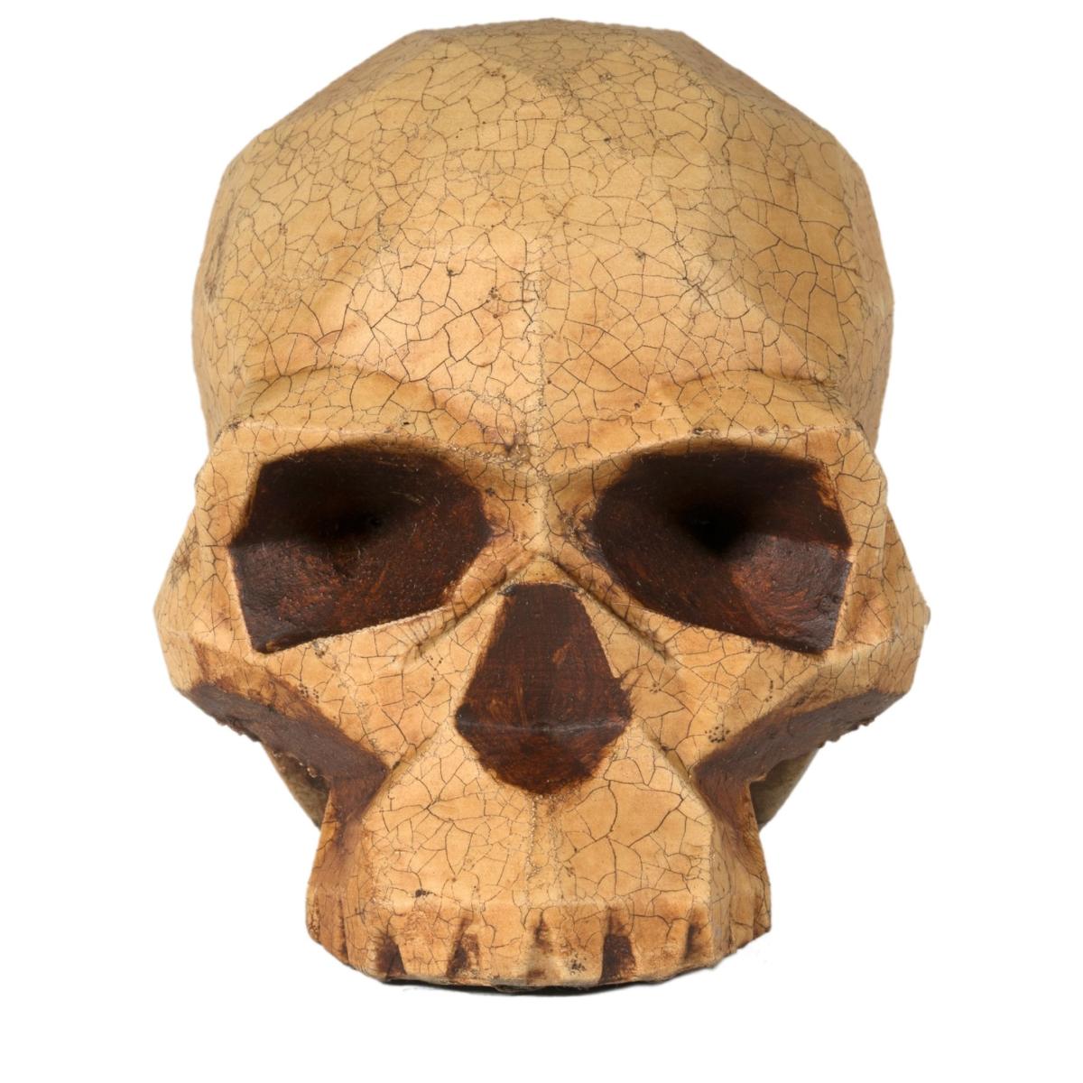 Neutrals Skull Sculpture - Geometric Design - Yorick Crackle Effect | Marokka Design – image 2