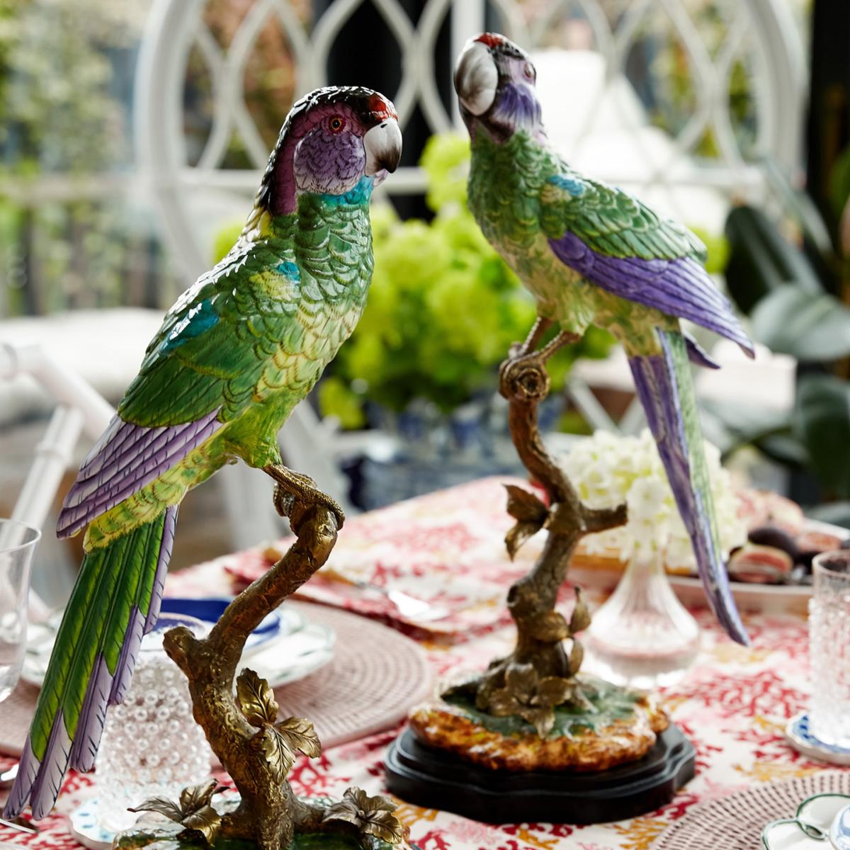 Copacabana The Hottest Bird North Of Havana | Casabyjj – image 3