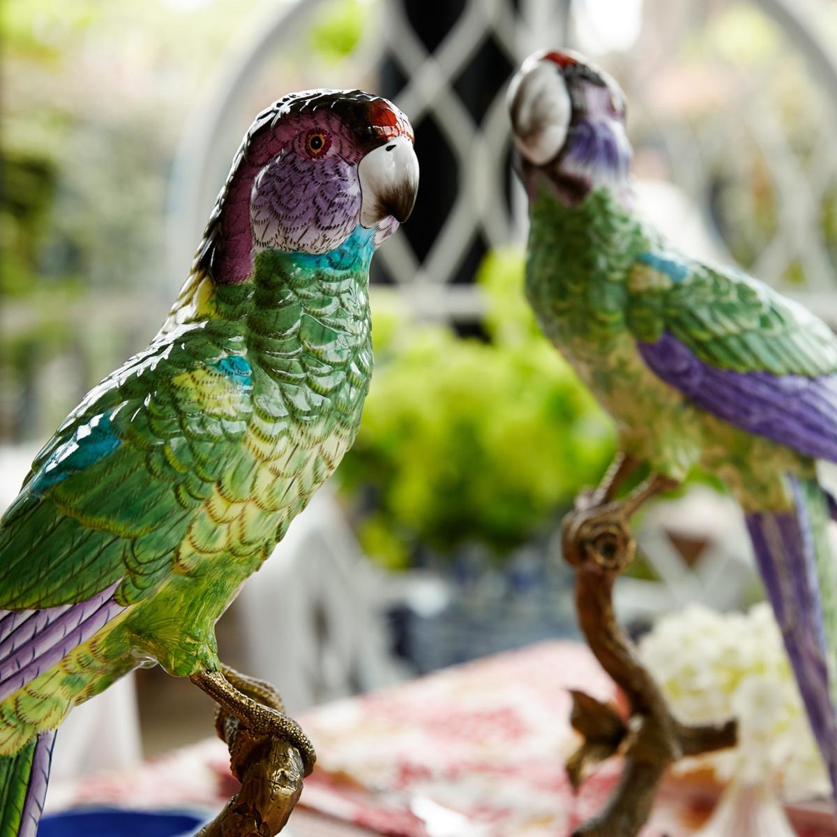 Copacabana The Hottest Bird North Of Havana | Casabyjj – image 4