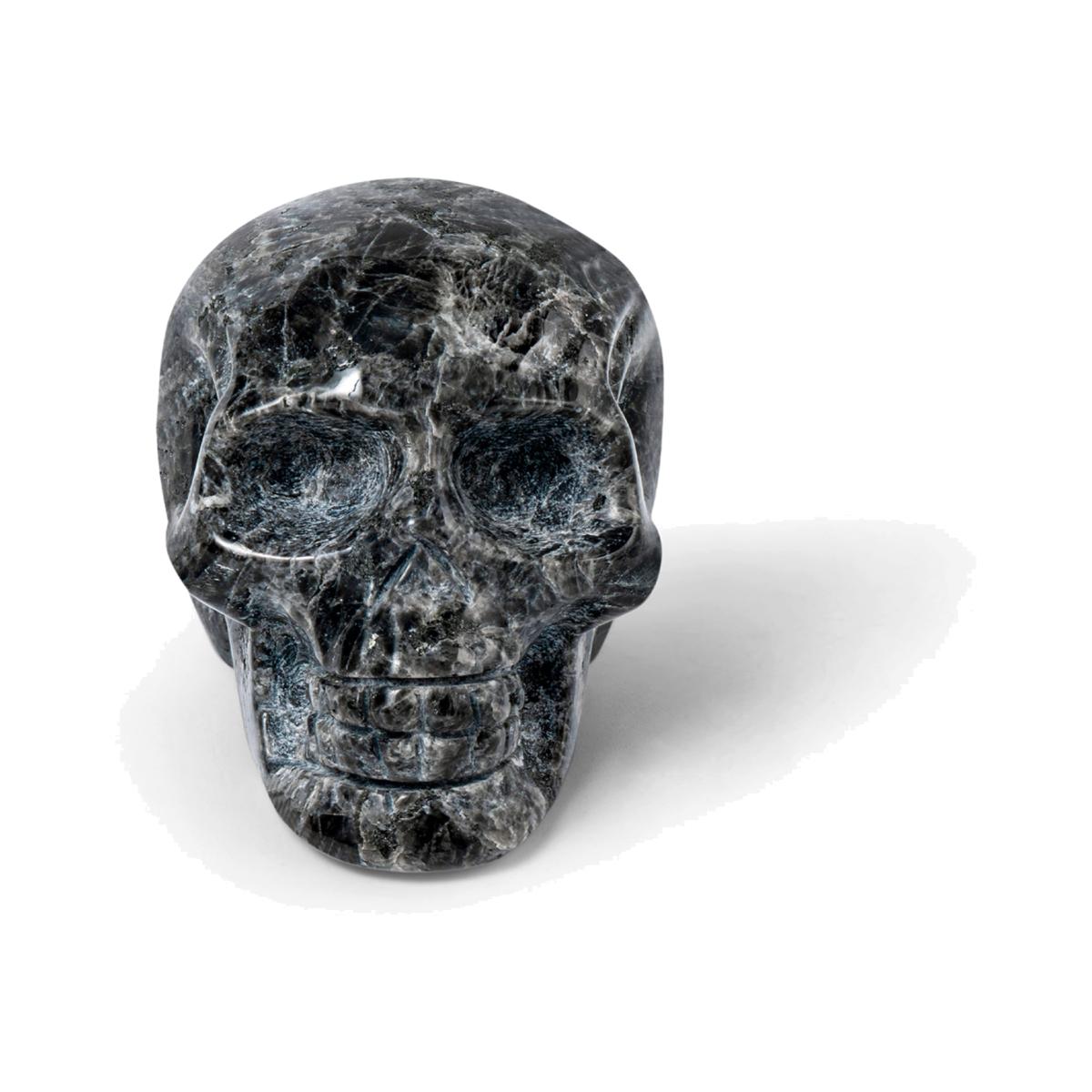 Black Tremolite Crystal Skull Sculpture One Size Awnl – image 1