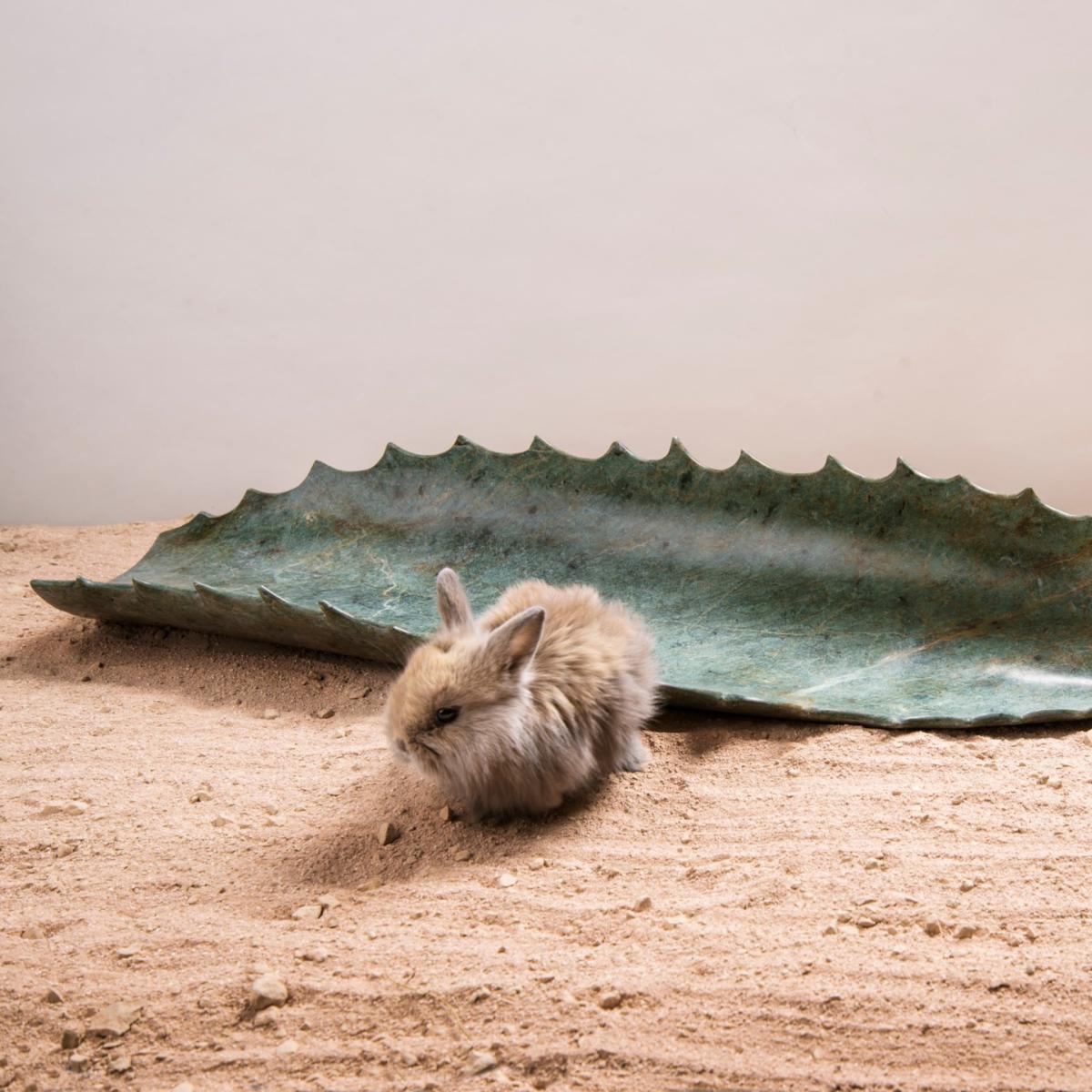 Maguey - Green Marble And Jacob – image 4