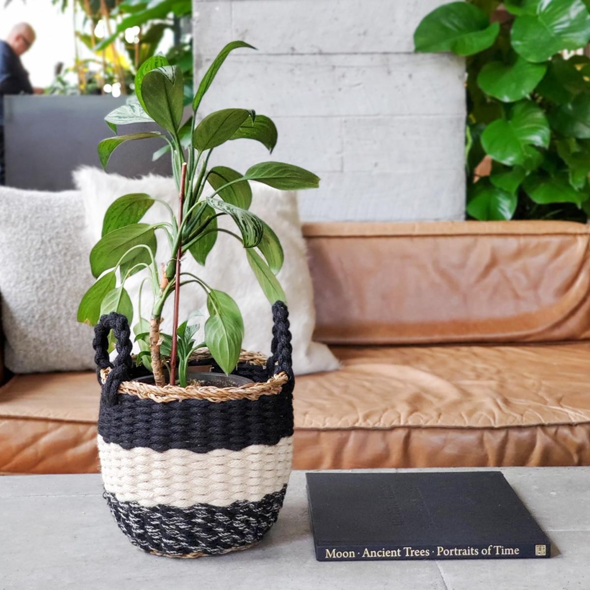 Black Ula Stripe Basket - Black Korissa – image 3
