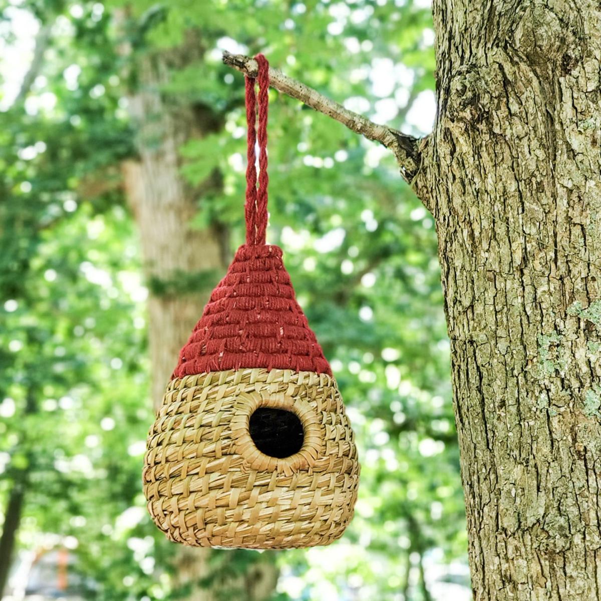 Seagrass Birdhouse - Dewdrop Korissa – image 2