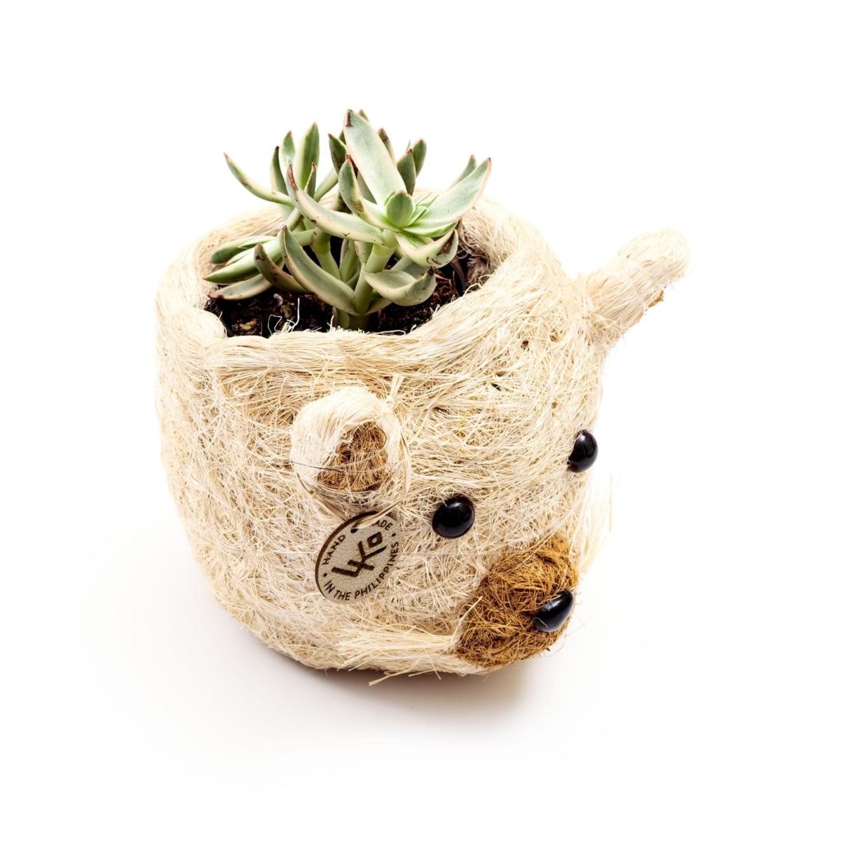 Neutrals Coco Coir Mini Pot Cat Likhâ – image 2