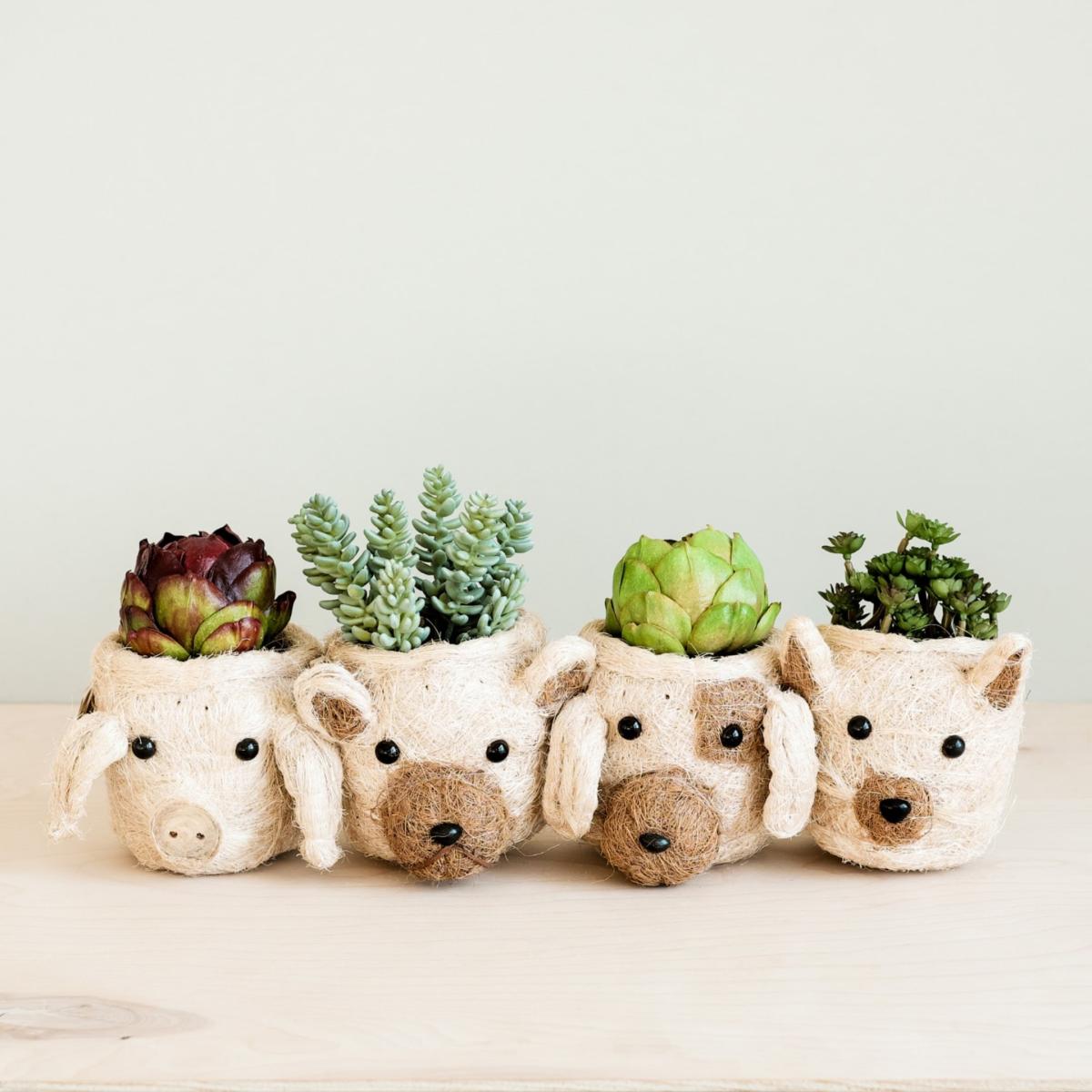 Neutrals Coco Coir Mini Pot Cat Likhâ – image 4