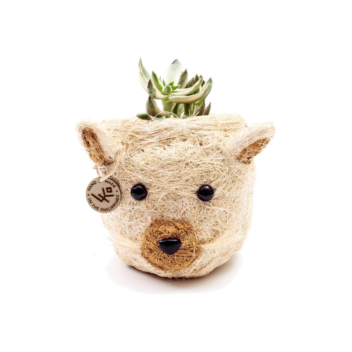 Neutrals Coco Coir Mini Pot Cat Likhâ – image 1